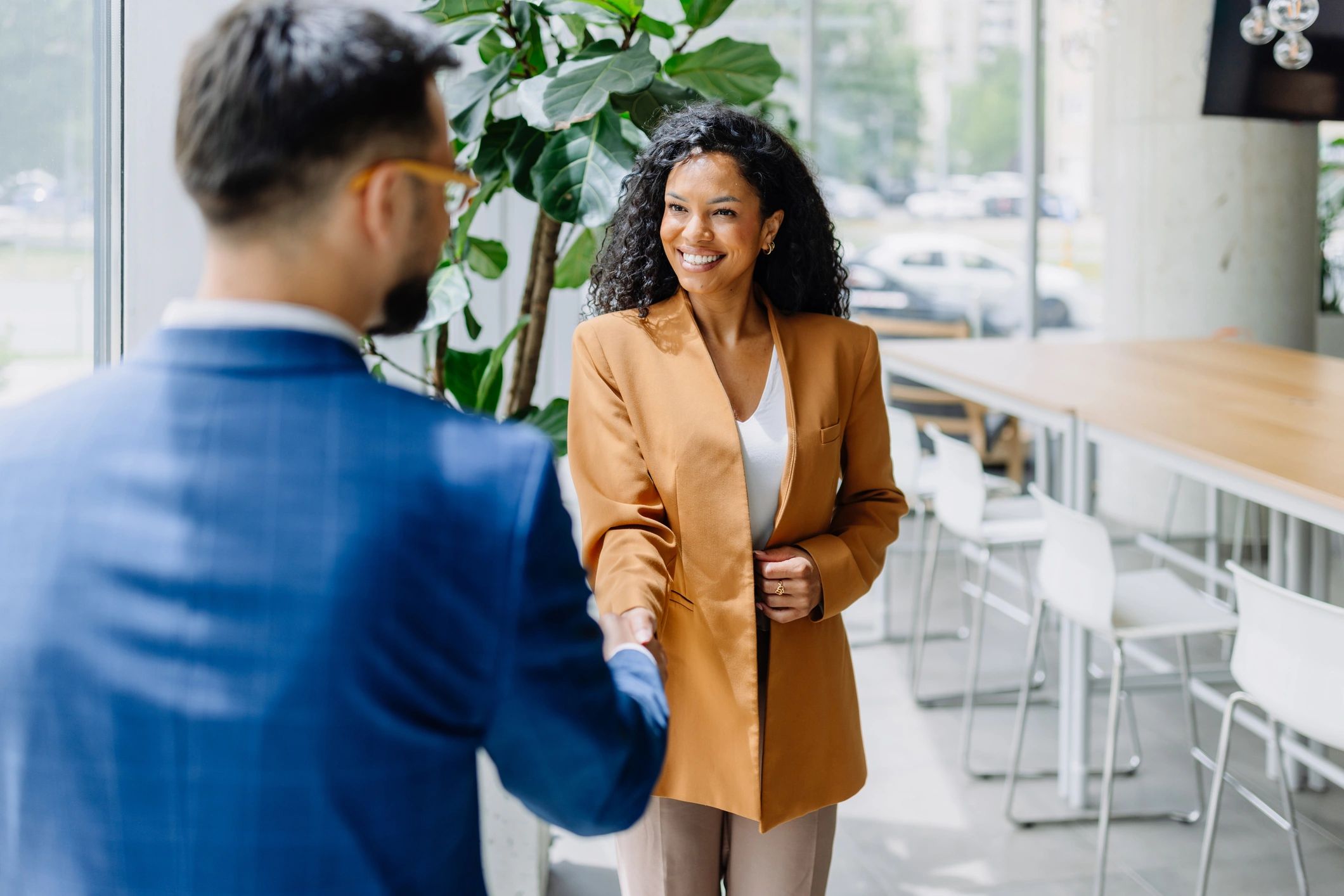 Professional consultation meeting with a client